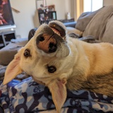 Entry image for Kyle