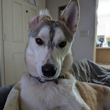 Entry image for Crash