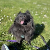 Entry image for Cleo