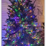 Entry image for Bonnie and Clyde