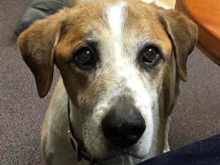 Entry image for Tank. Clicking this image will show a larger photo