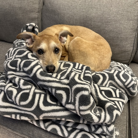 Entry image for Cecilia. Clicking this image will show a larger photo