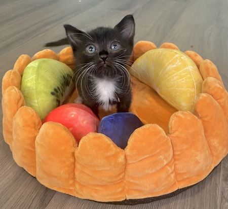 Entry image for Jim. Clicking this image will show a larger photo