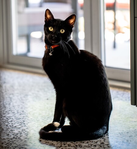 Entry image for Raleigh Michael Wahl . Clicking this image will show a larger photo