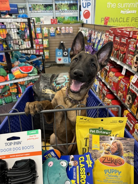 Entry image for Jericho. Clicking this image will show a larger photo