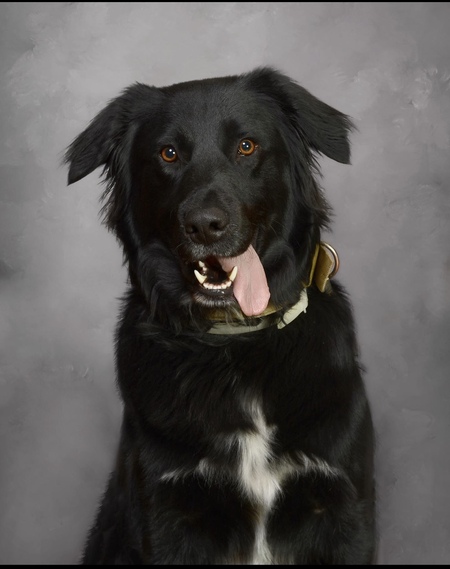 Entry image for Ace Evan . Clicking this image will show a larger photo