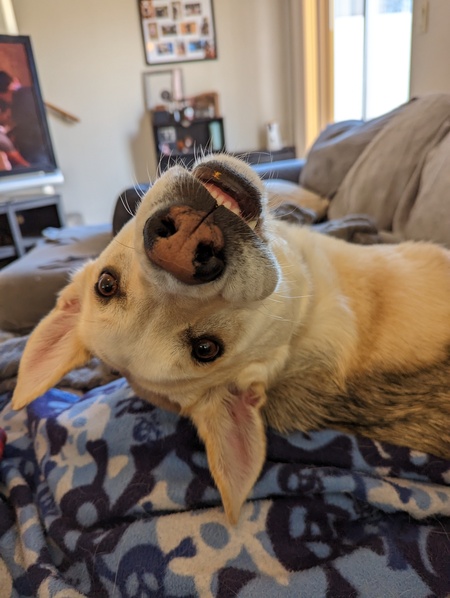 Entry image for Kyle. Clicking this image will show a larger photo