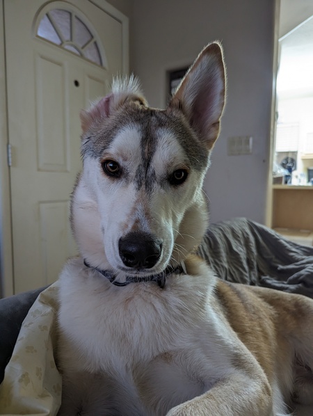 Entry image for Crash. Clicking this image will show a larger photo