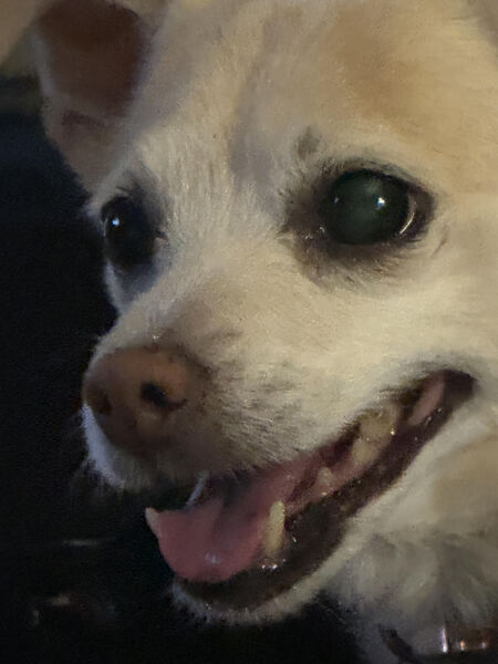 Rosie