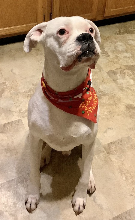 Benny