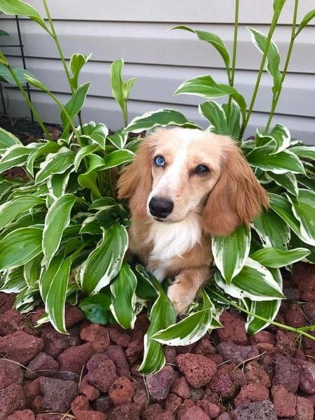 Samantha 