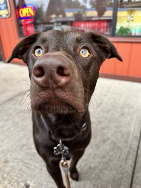 Oliver