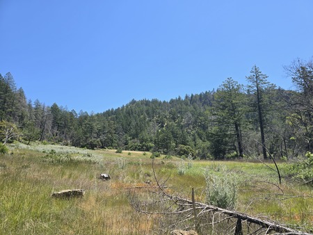 Orchard meadow in Hood Mountain park 
