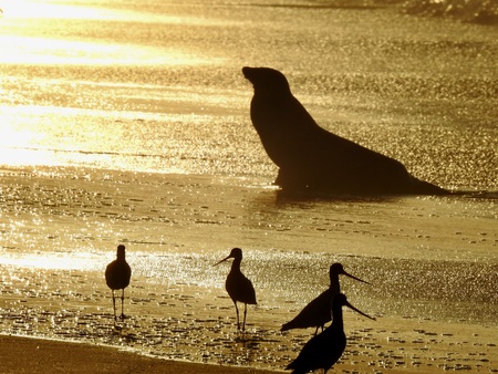 Sunrise at Doran Beach