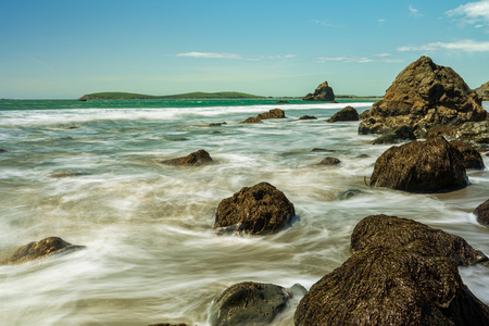 Stroll at Bodega Bay