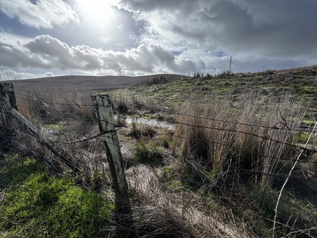 Tolay  between showers
