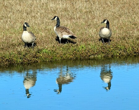 BirdWalk at Doran