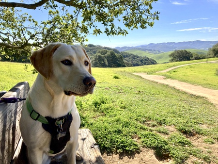 Quiet moment at Helen Putnam Park