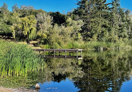 Our favorite Dock at Spring Lake