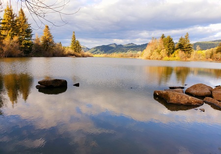Peaceful Reflections at Spring Lake Regional Park