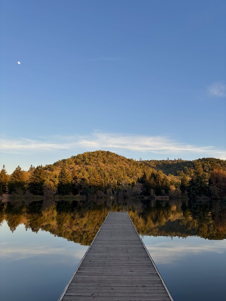 Reflecting on Spring Lake
