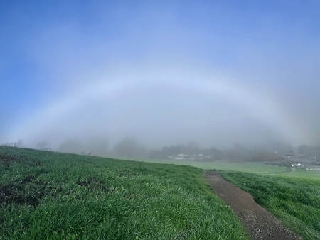 Fogbow at Helen Putnam Park