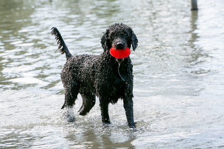 Gabi at waterbark