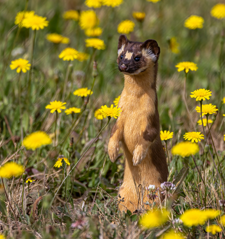 Springtime is here!