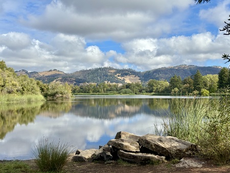 Spring Lake vista