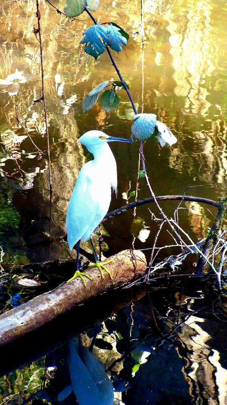 Nature's beauty. 