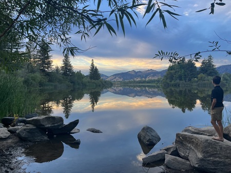 Reflection