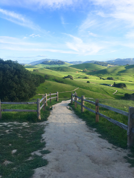 Helen Putnam Regional Park in Spring