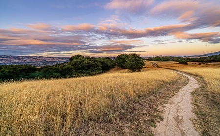 Follow Your Path