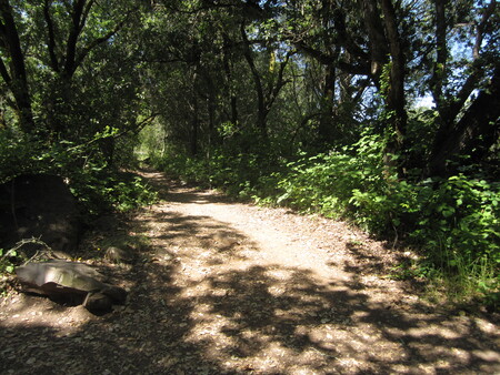 Spring Lake Trail
