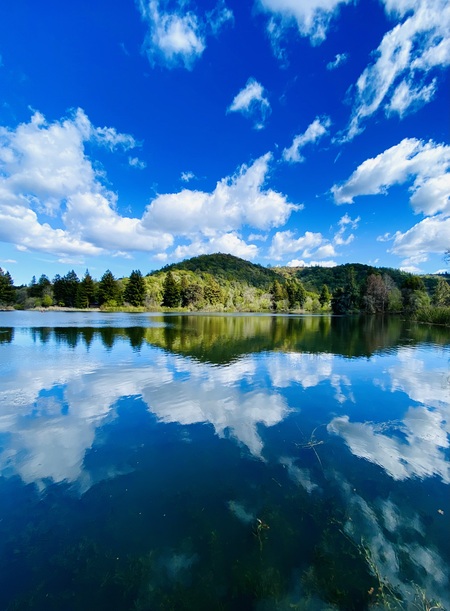 Spring Lake Reflections