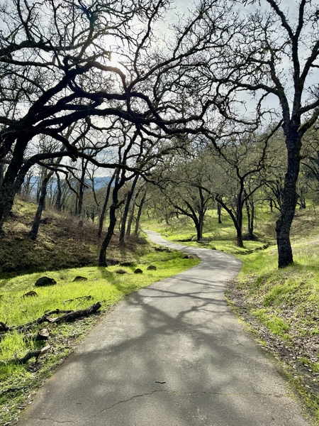 Crossed Path