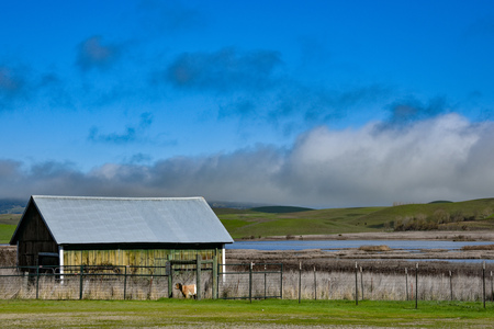 Morning Watch at Tolay