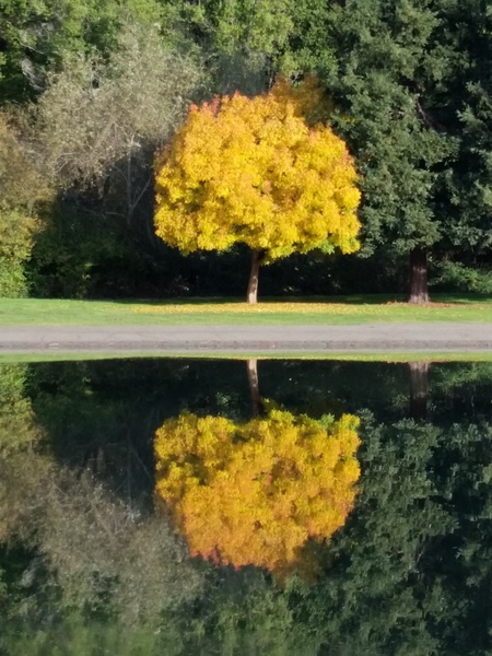 Afternoon, Spring Lake