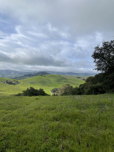 "Sky’s The Limit"   Helen Putnam Regional Park  3/1/25