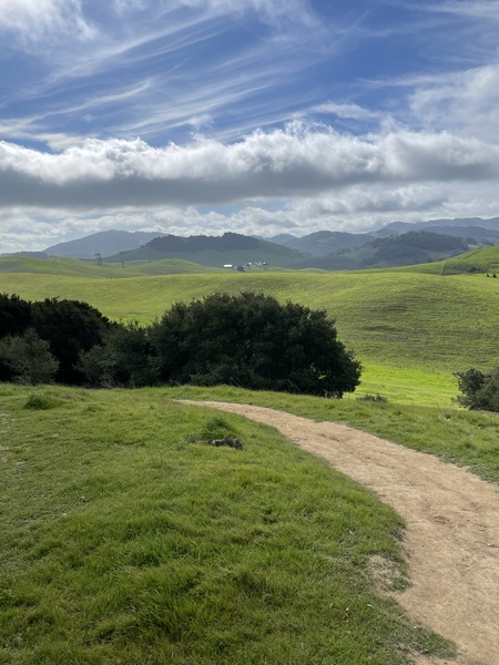 "Let’s Follow the Yellow Road"  Helen Putnam Regional Park 3/1/25