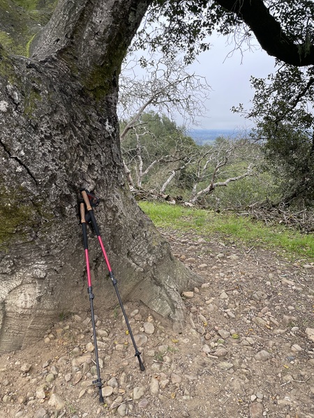 "Come Walk With Me"   Foothill Regional Park 1/18/25