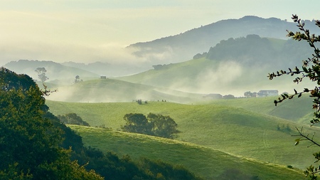 Spring Morning Fog
