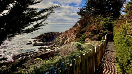 Path to the Point