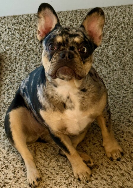Lucy