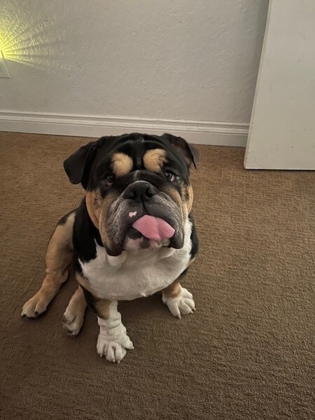 Mac
