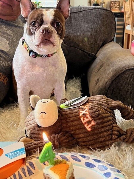 Dottie