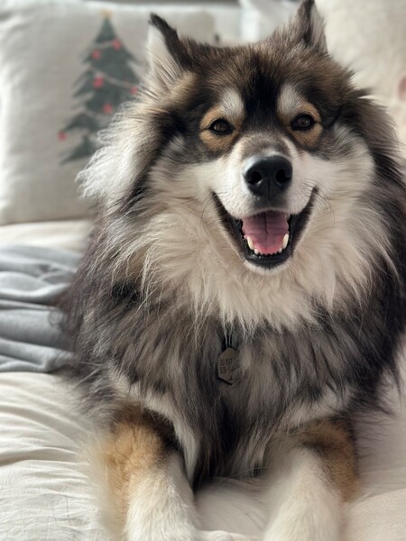 Milo