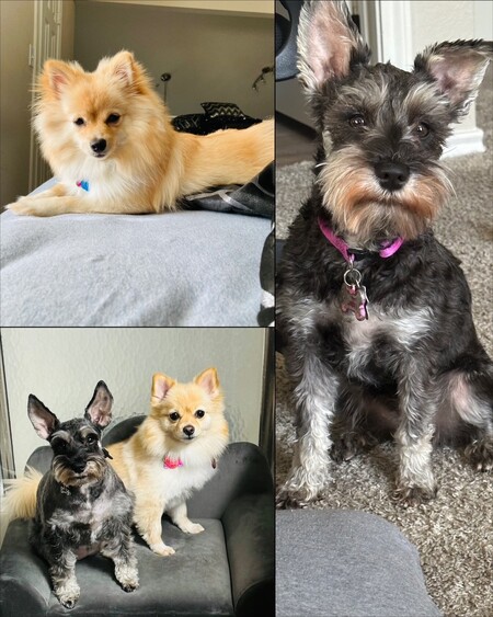  Nola & Diamond