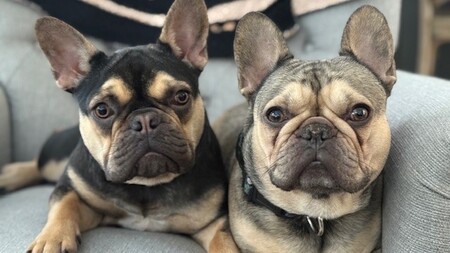 Lucy & Toula