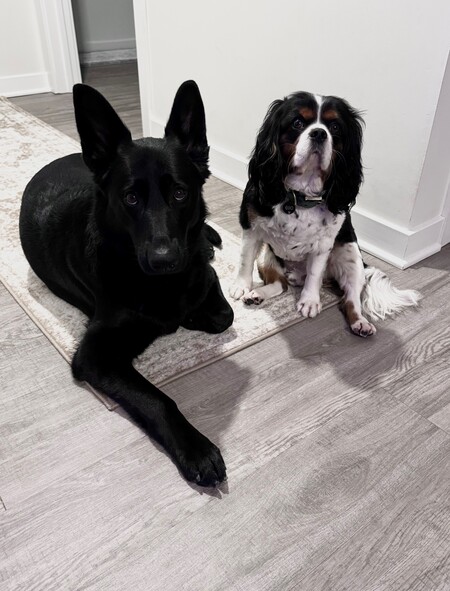 Entry image for Fia and Gio. Clicking this image will show a larger photo